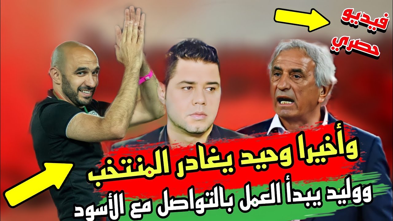وأخيرا وحيد يغادر المنتخب ووليد يبدأ العمل بالتواصل مع الأسود