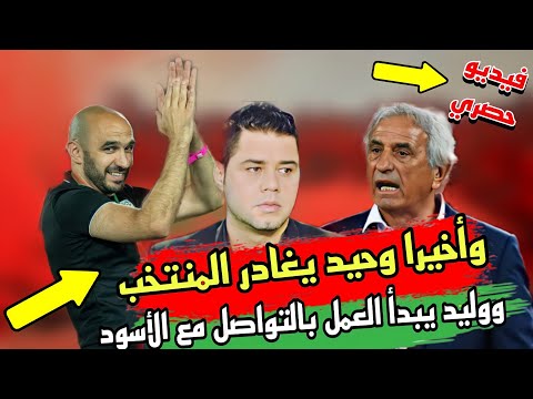 وأخيرا وحيد يغادر المنتخب ووليد يبدأ العمل بالتواصل مع الأسود