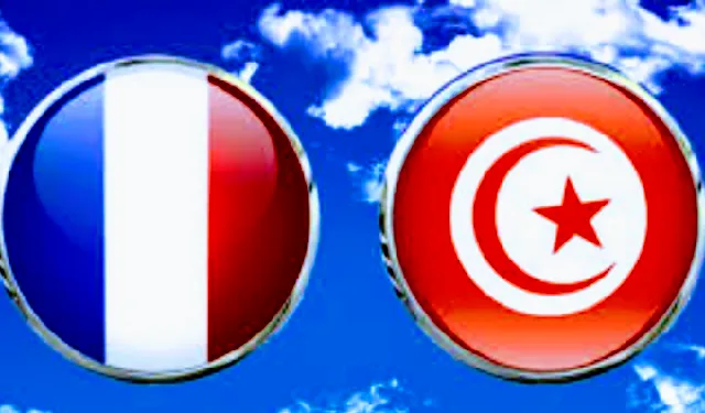 بث مباشر | مشاهدة مباراة تونس وفرنسا في تصفيات طوكيو كرة اليد تونس و فرنسا 640x3752 3