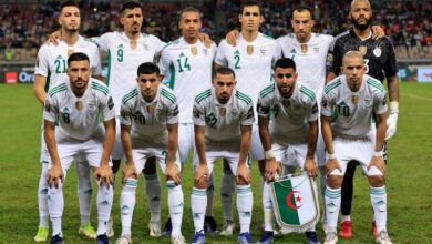 وليد صادي يغادر الجزائر لتعاقد مع خليفة جمال بلماضي - وليد صادي