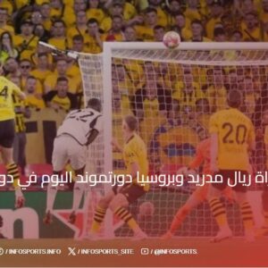 اهداف مباراة ريال مدريد وبروسيا دورتموند اليوم في دوري الابطال 2024-25