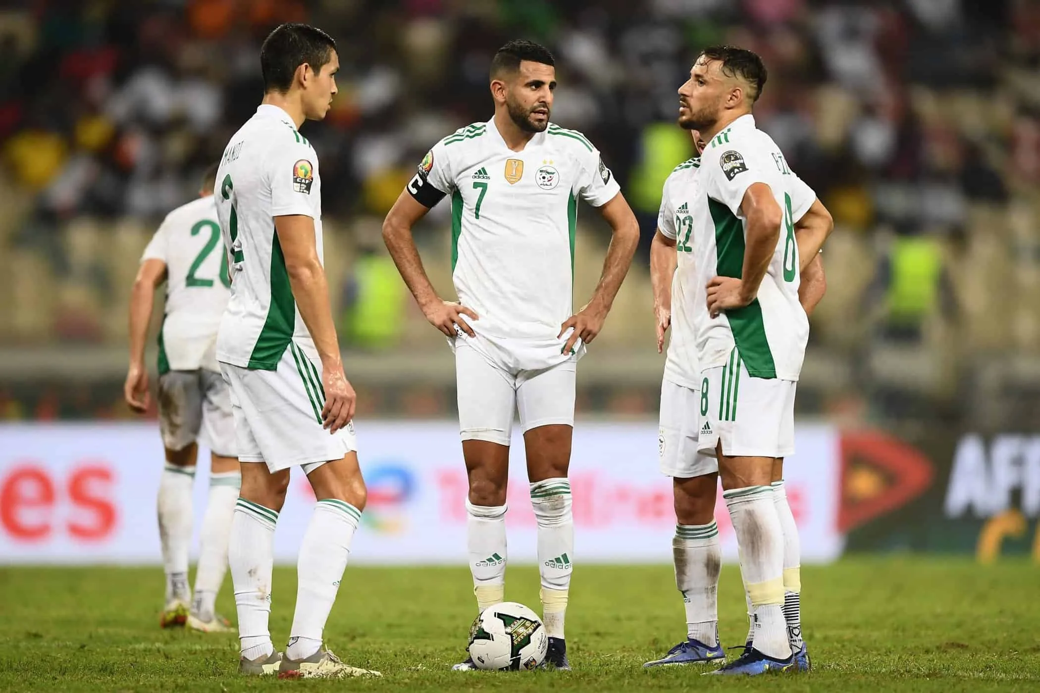 المنتخب الجزائري يتقدم في تصنيف الفيفا لشهر مارس 2025