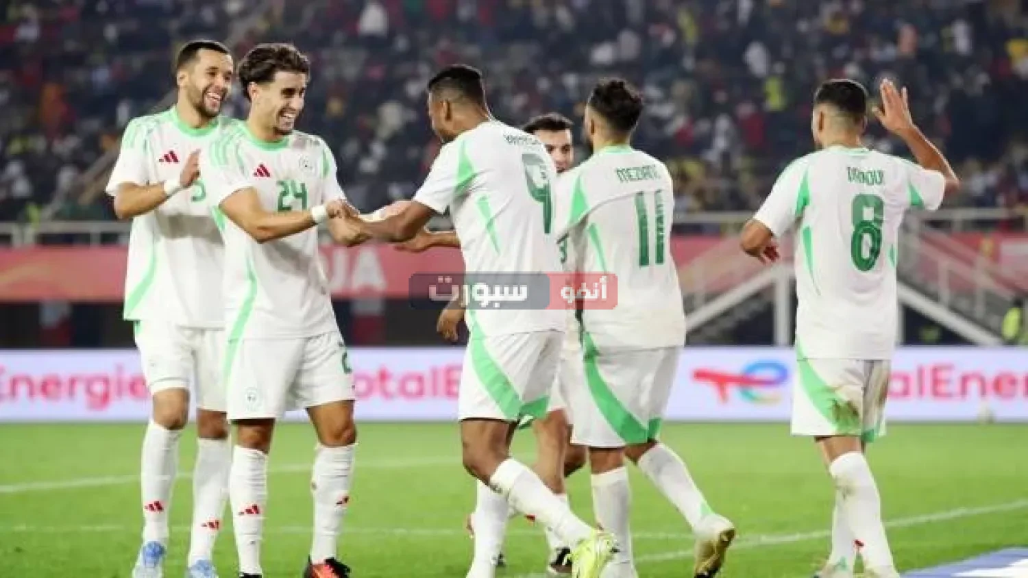 تعرف على معلق مباراة الجزائر وغينيا في كأس إفريقيا للمحليين 2025