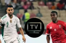 القنوات المفتوحة الناقلة لمباراة الجزائر وغينيا في تصفيات كأس العالم 2026