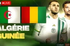 مشاهدة مباراة الجزائر وغينيا اليوم في تصفيات كأس العالم 2026